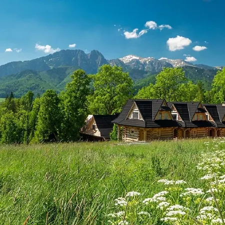 Osada Gąsienica Centrum Zakopane Zewnętrze zdjęcie